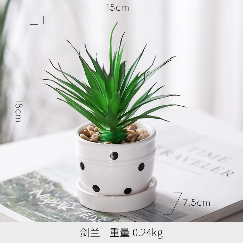 钵提 北欧装饰摆件 小盆栽 绿植仙人掌多肉植物创意植被展示  潮流衍生品