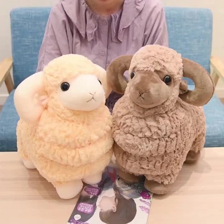 25cm35cm45cm55cm