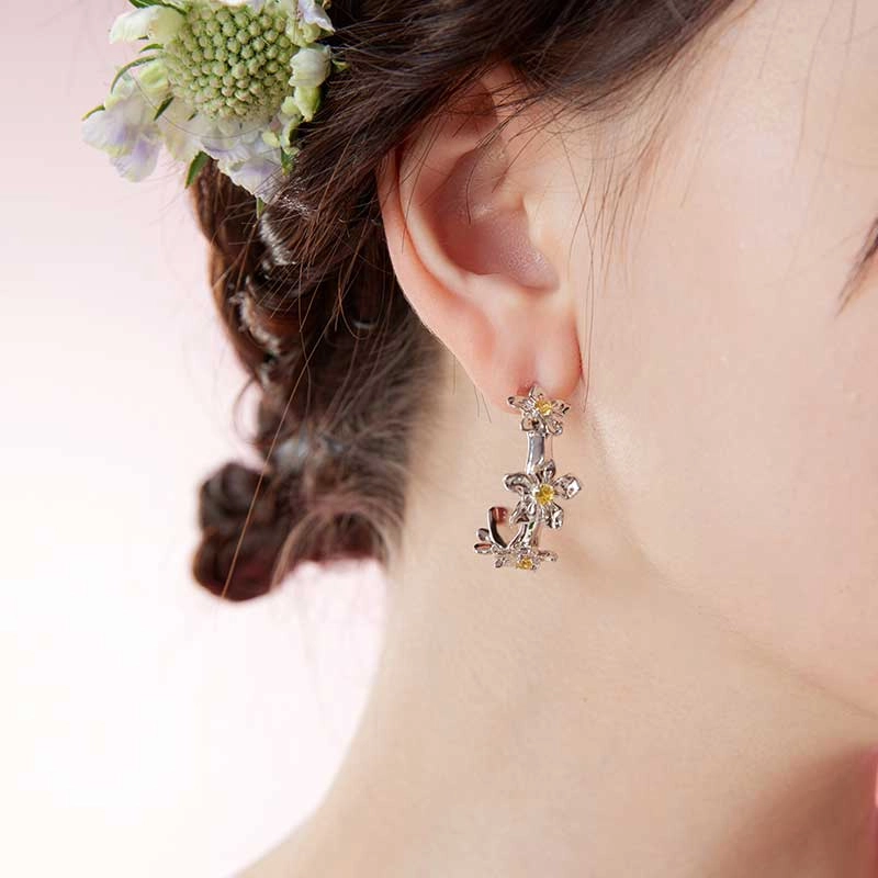 SIS ACC C 18k