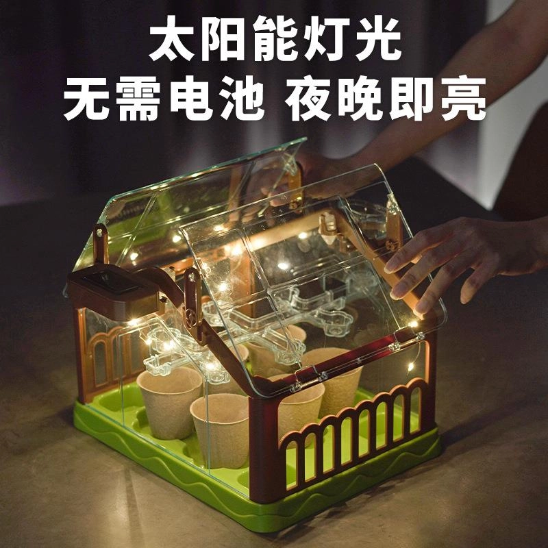 蒙柯 迷你阳光房儿童种种子房小盆栽植物 观察箱种植园浇水种菜 玩具