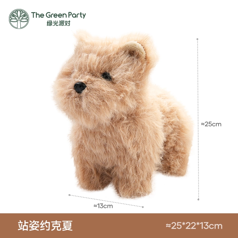 The Green Party 25cm20cm