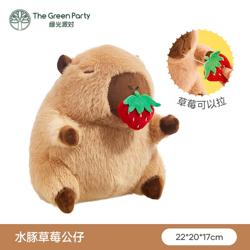 The Green Party 11cm22cm