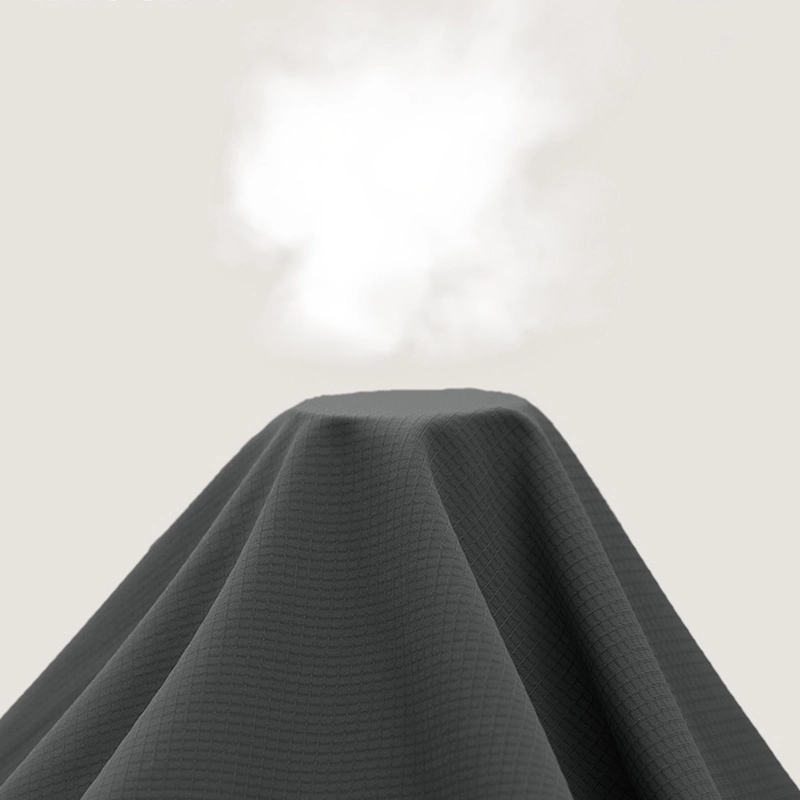 RVVR