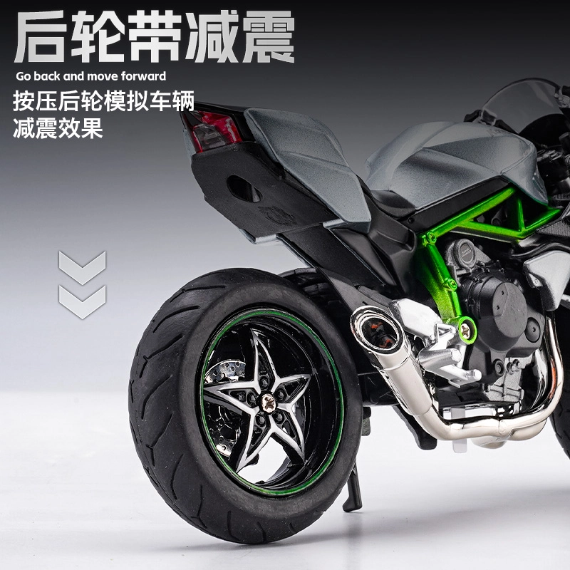 H2 250SR V4S 112