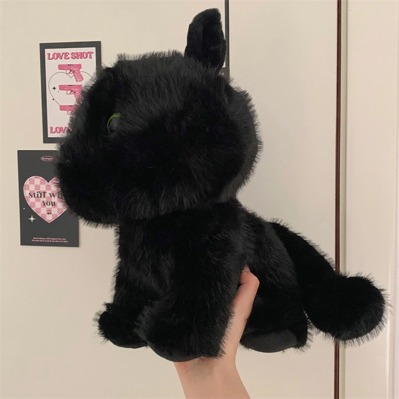 30cm