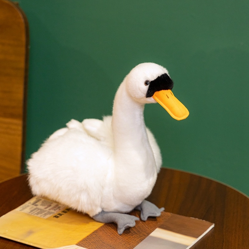 26cm