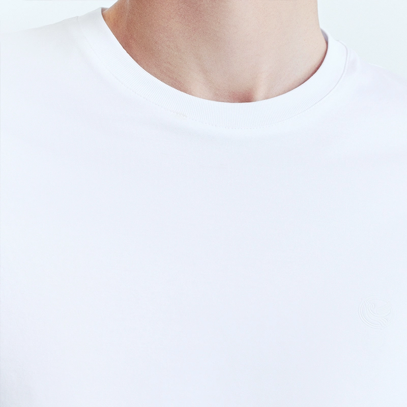 SAINT ANGELO T