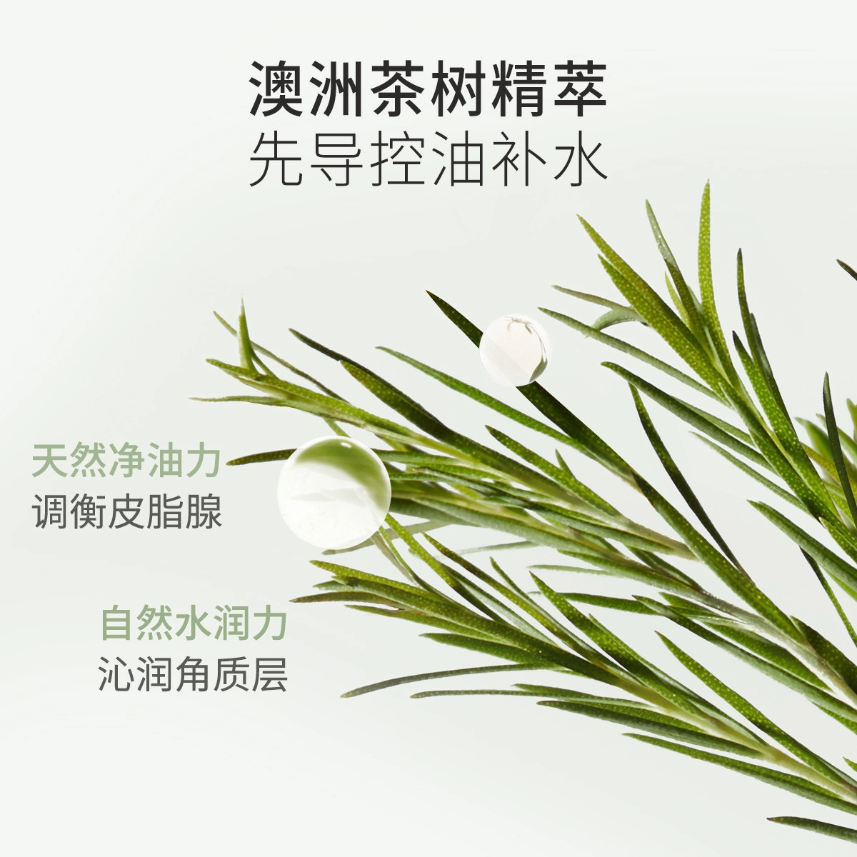 袋鼠妈妈 双重植物精华茶树防晒套装 保湿滋润控油防晒