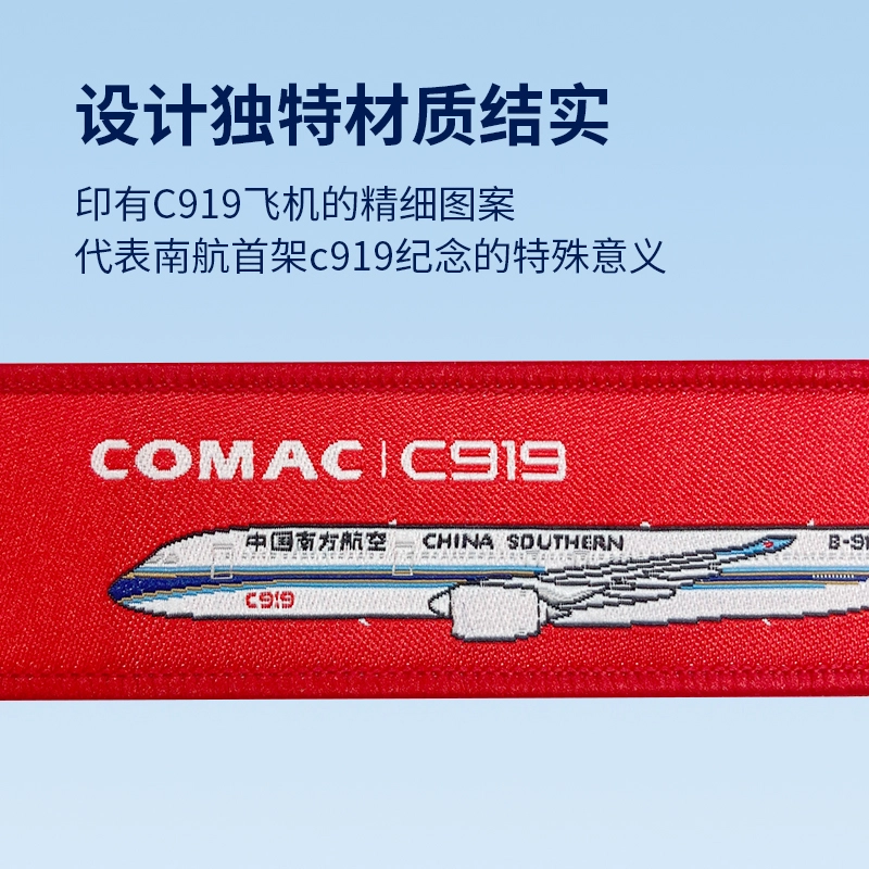 C919 IP