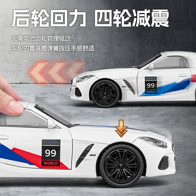 ENGTEN BMWZ4