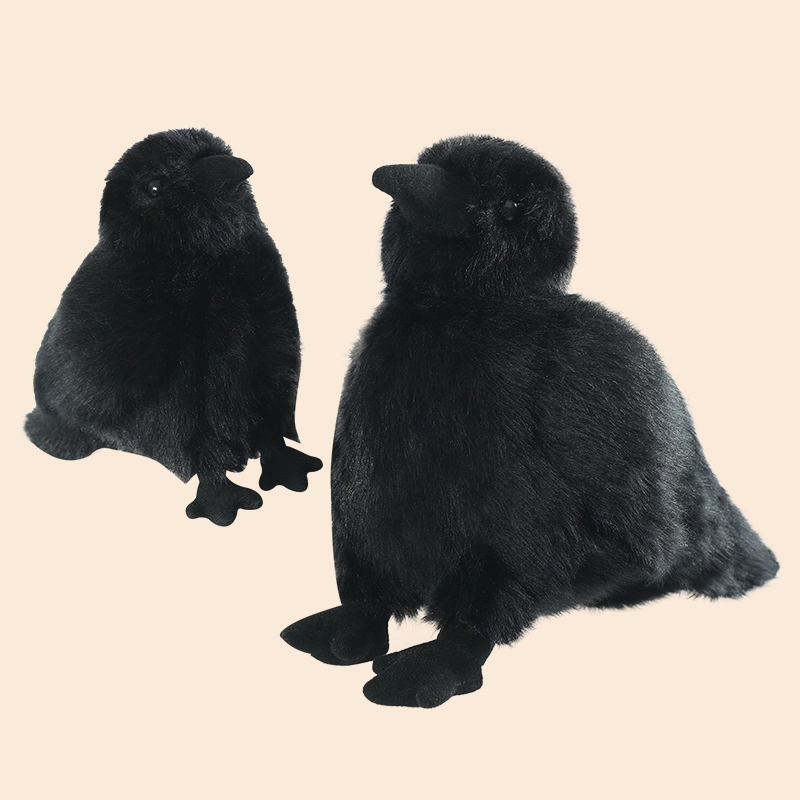 15cm25cm35cm