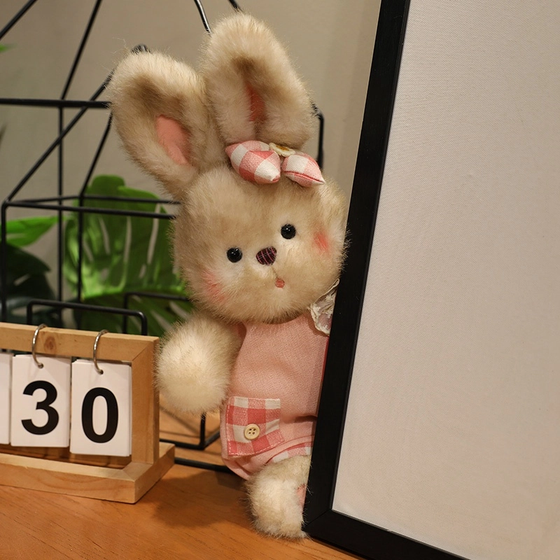 35cm50cm