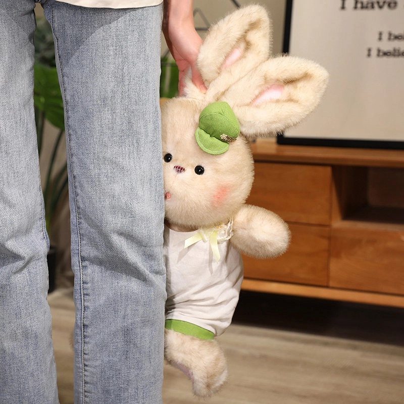 35cm50cm