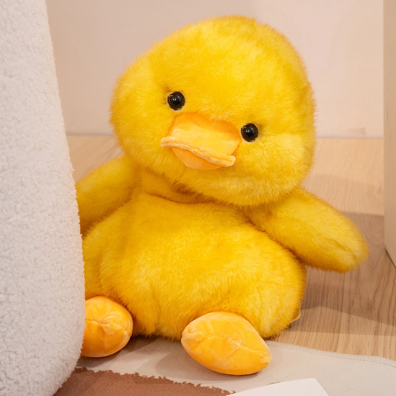 16cm25cm30cm