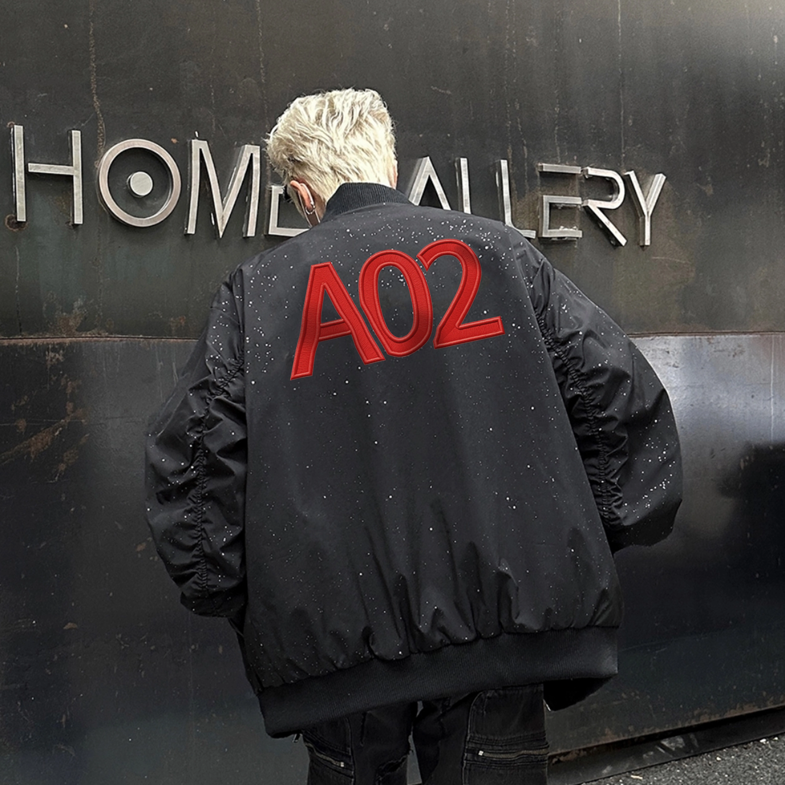a02 LOGOins