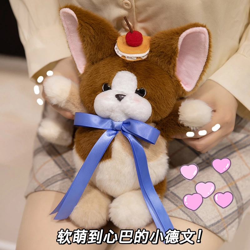 28cm