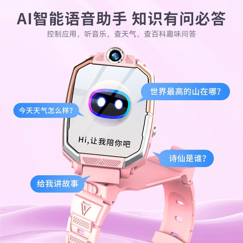 PALMHANG 5G4G