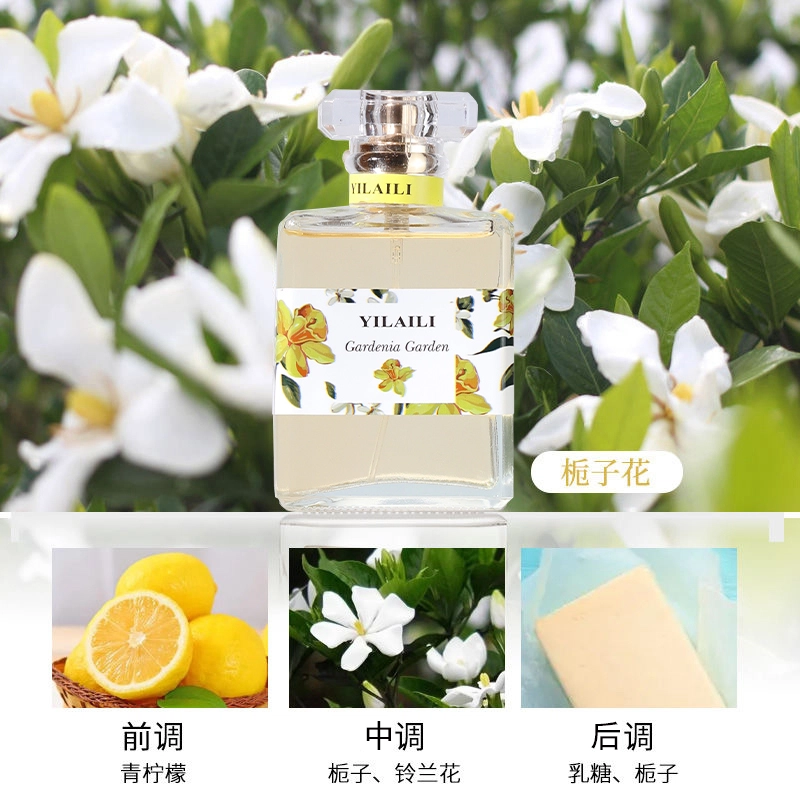 50ml