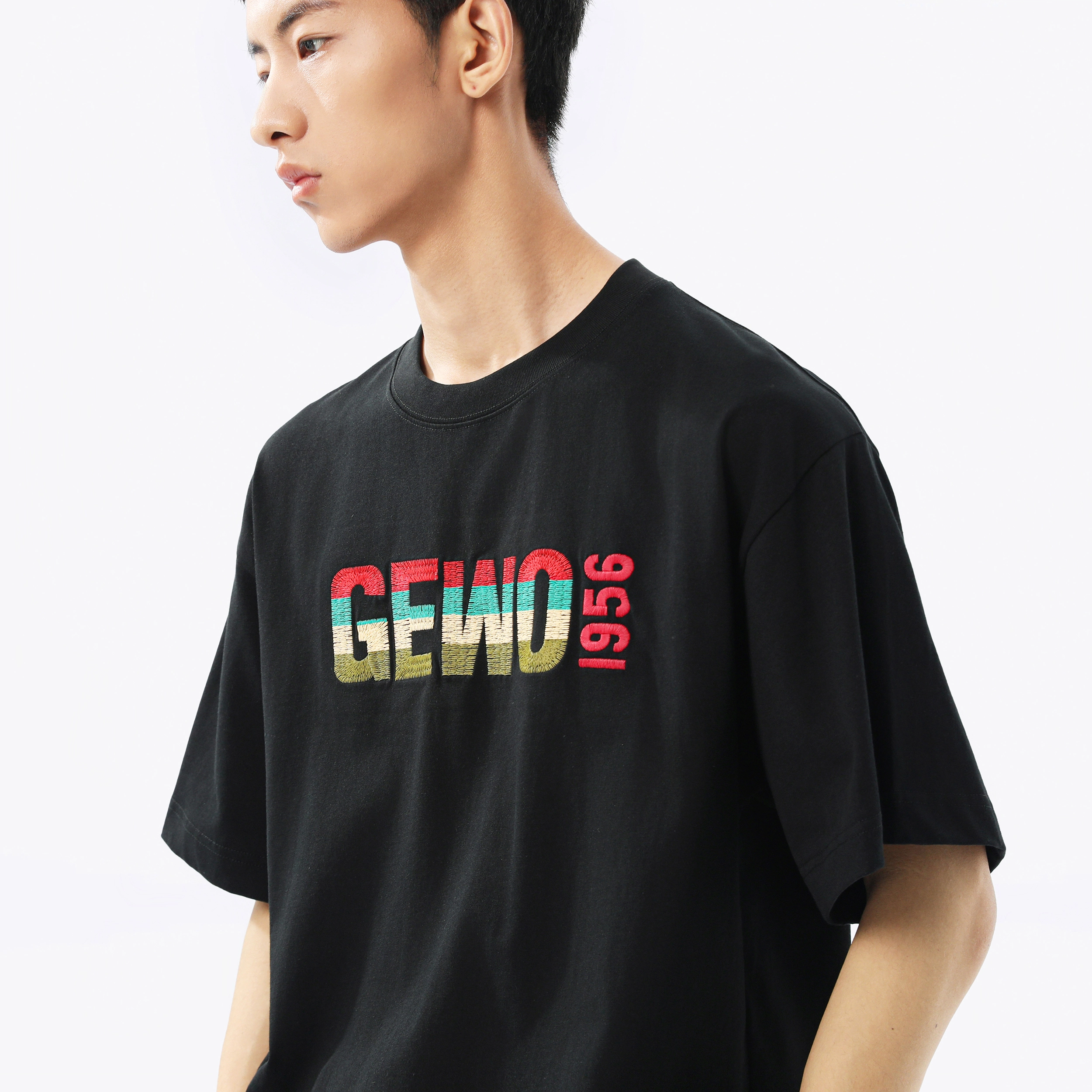 GEWO 270glogoT