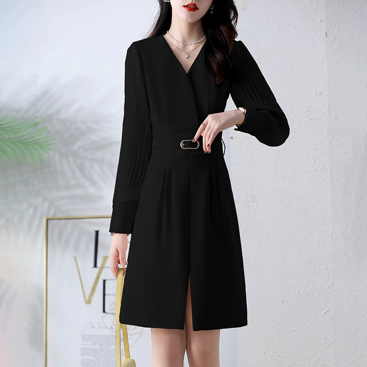 PIERRE CARDIN V