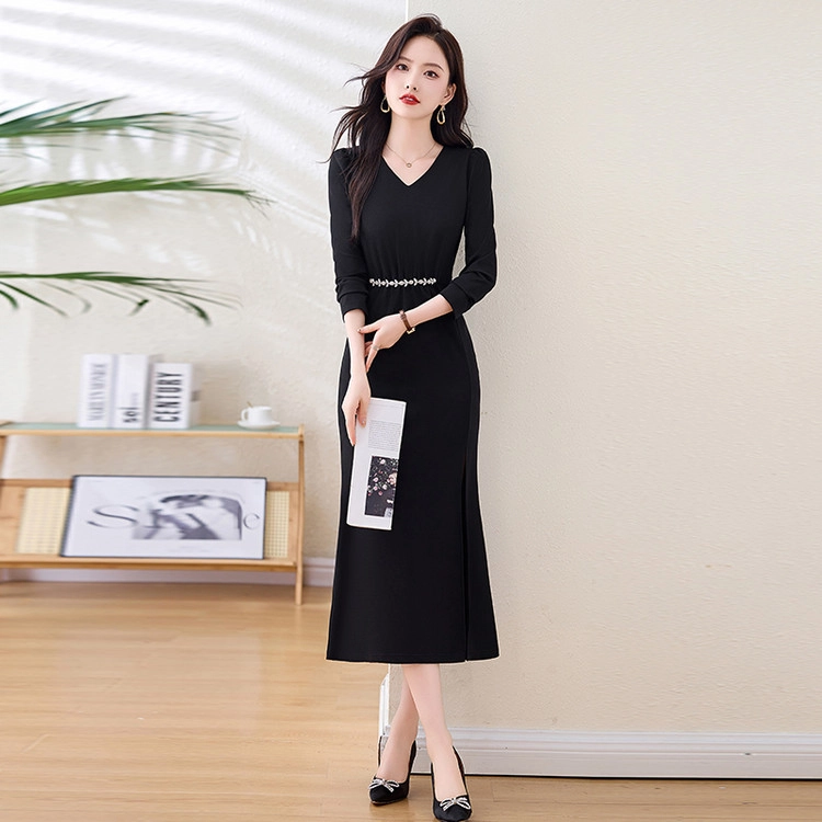 PIERRE CARDIN V