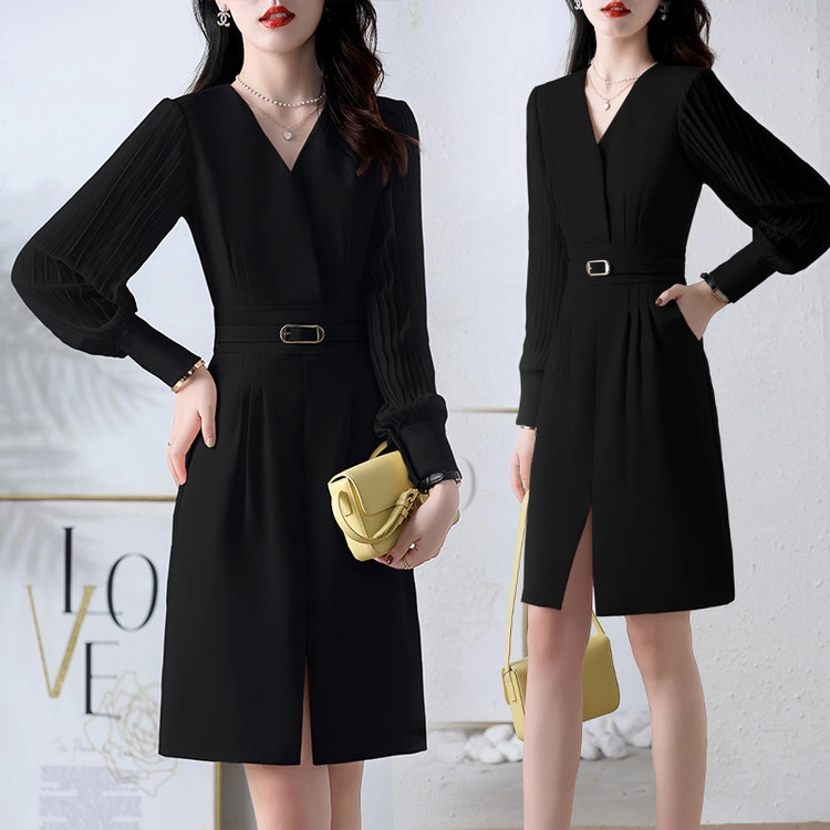 PIERRE CARDIN V