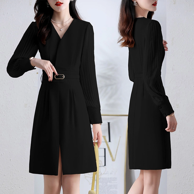 PIERRE CARDIN V