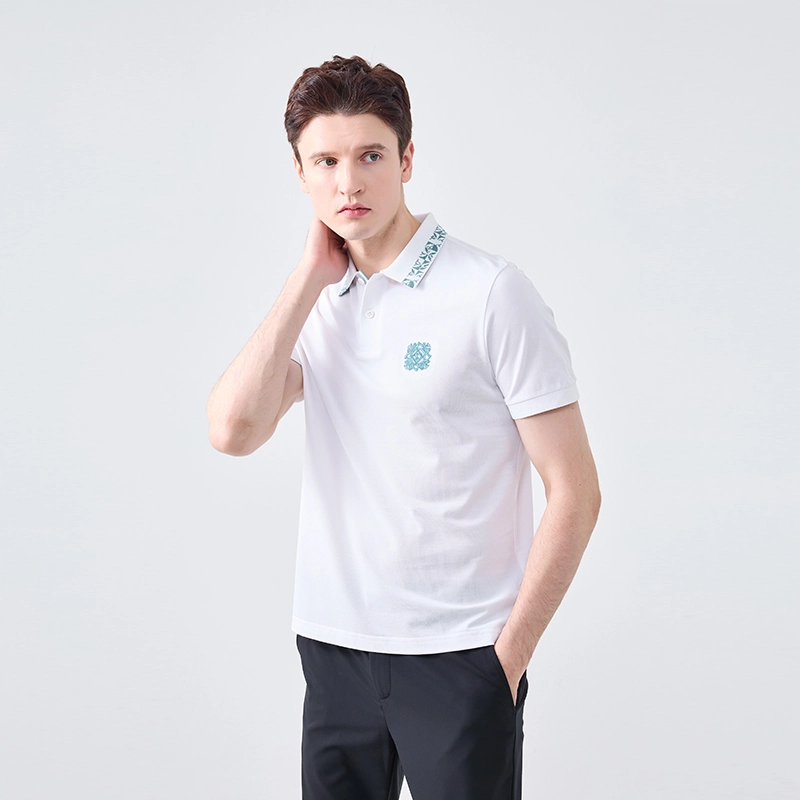 DIDIBOY LogoPolo