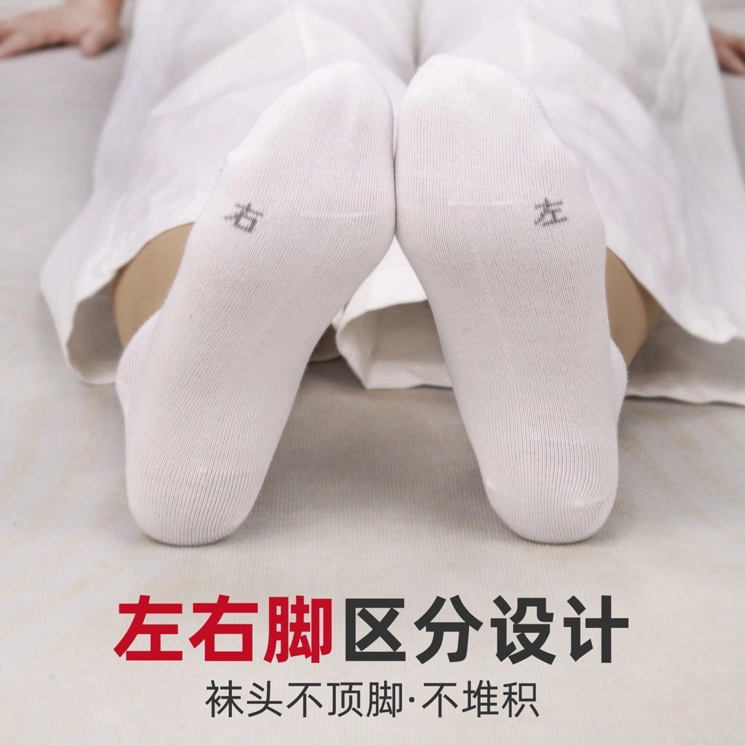 潘世家 透气网眼低帮浅口船袜 女款 五双装