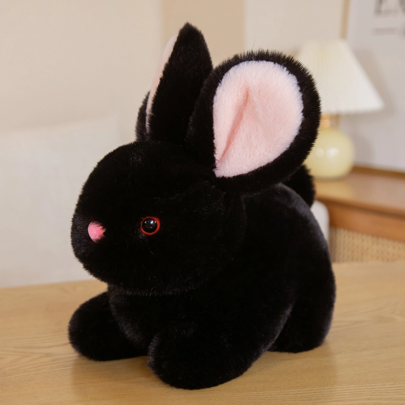 ZHUOQU 15cm20cm30cm