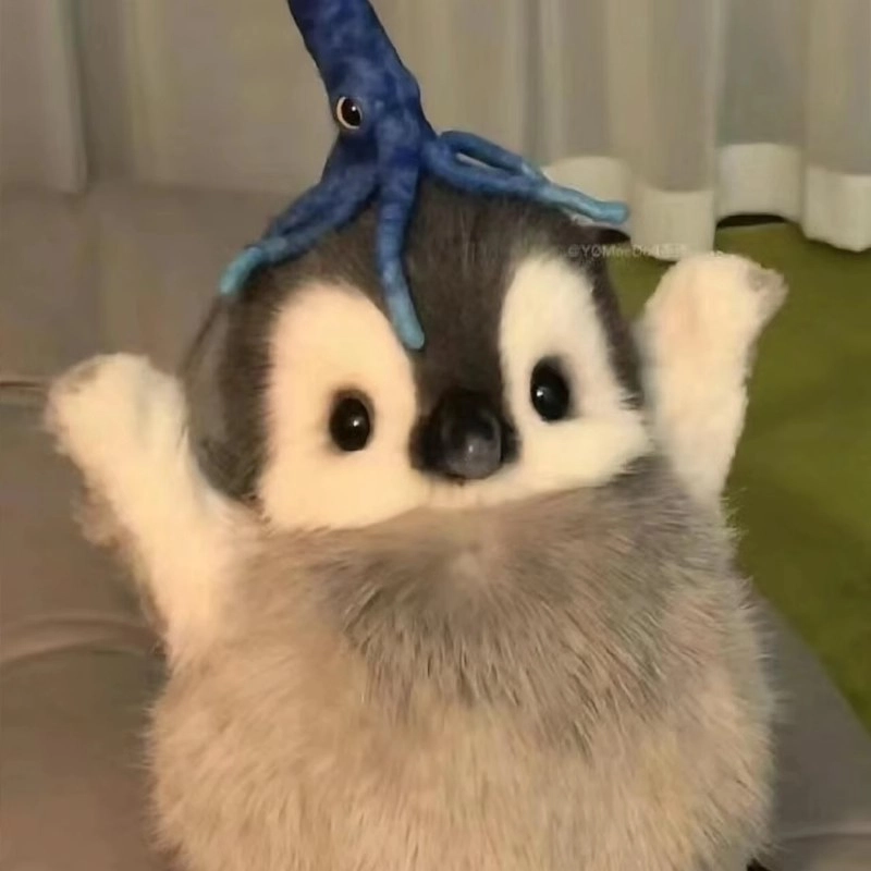 20cm