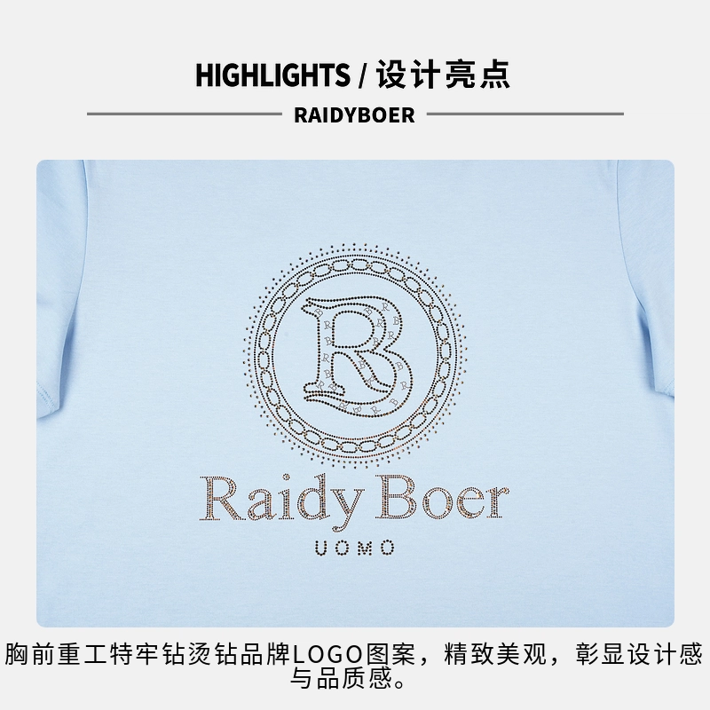 Raidy Boer LOGOT