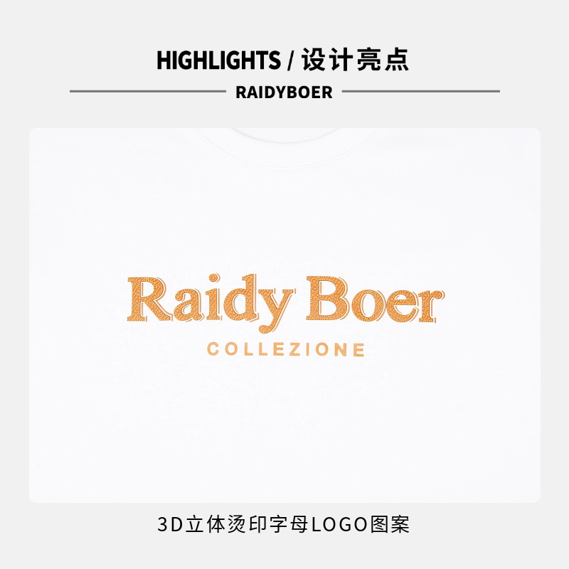 Raidy Boer T