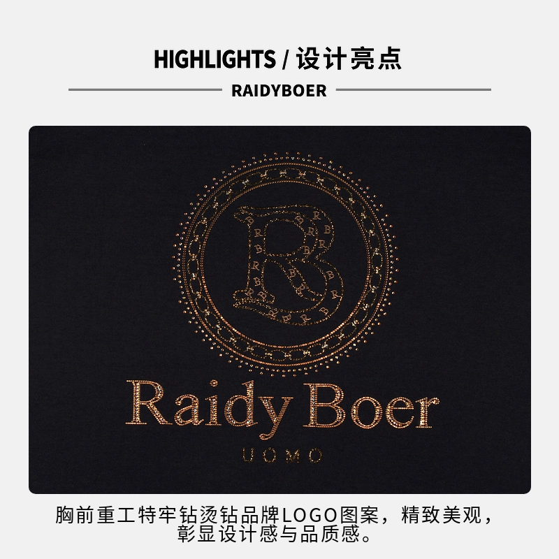 Raidy Boer LOGOT