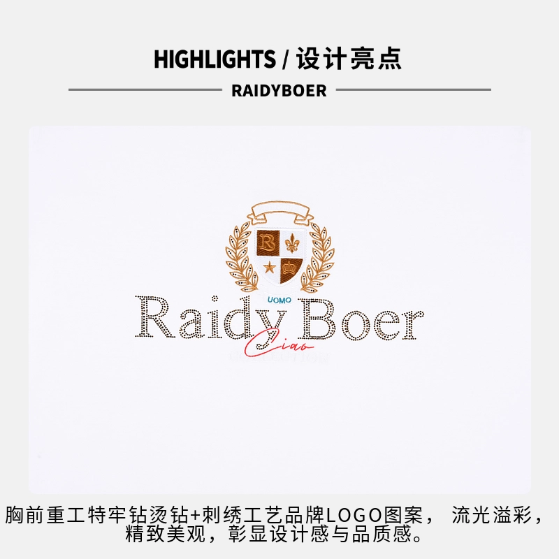 Raidy Boer T