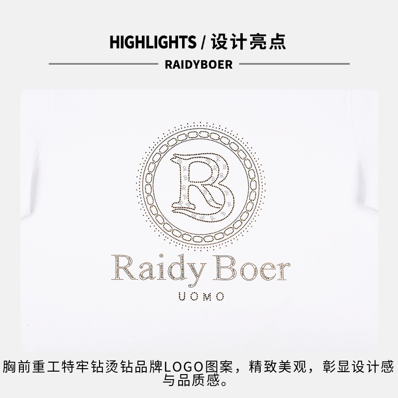 Raidy Boer LOGOT