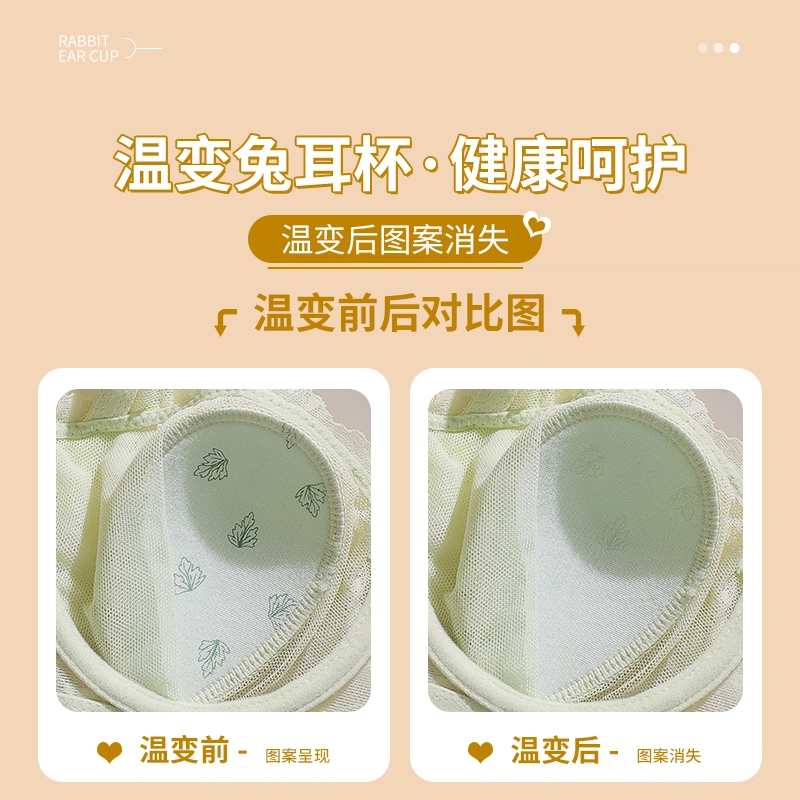 欧迪芬 冰丝轻薄透气亲肤蕾丝全包裹大胸显小兔耳杯不凸点上托聚拢防下垂收副乳文胸 女款