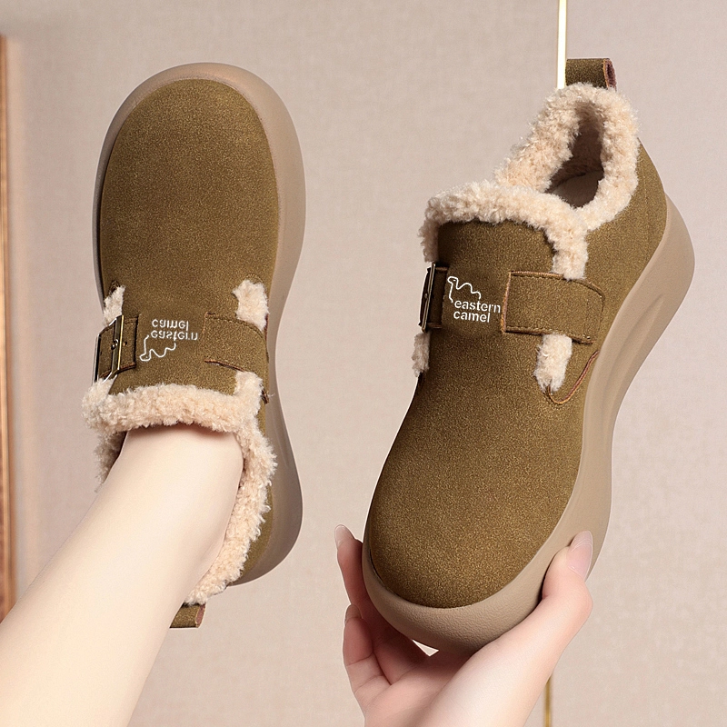 EASTERN CAMEL PU