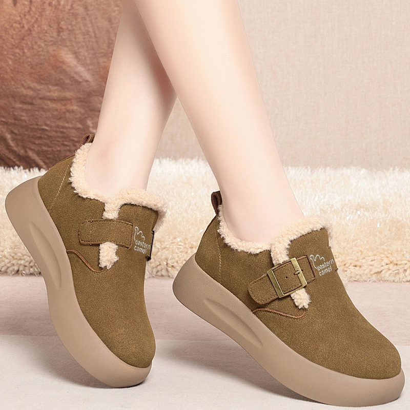 EASTERN CAMEL PU