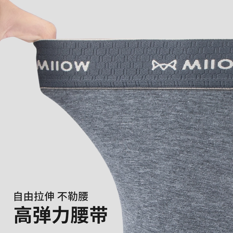 MIIOW 10A 5