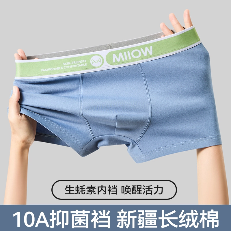 MIIOW 10A 3