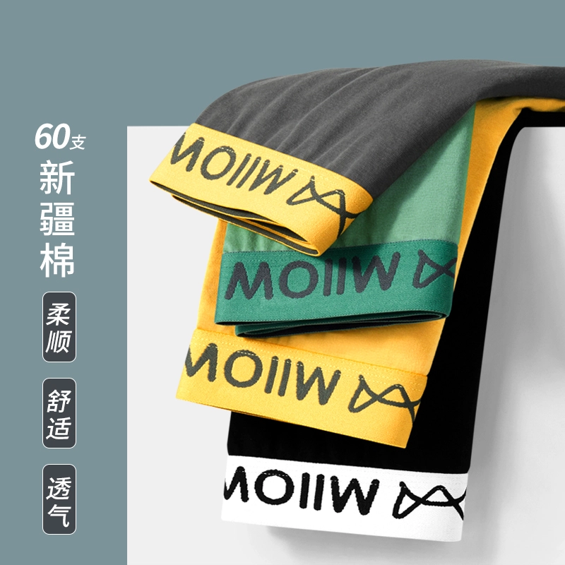 MIIOW PP