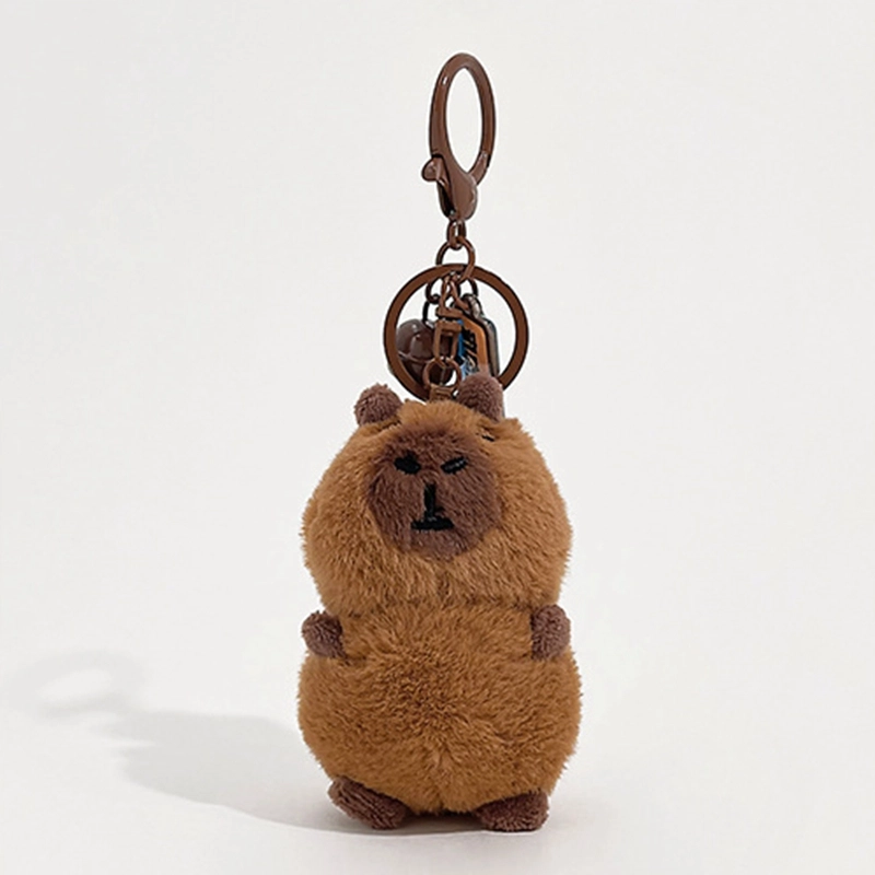 abay 10cm