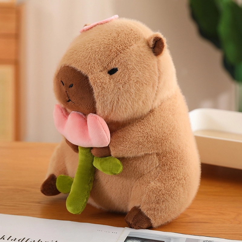Brangdy 30cm40cm