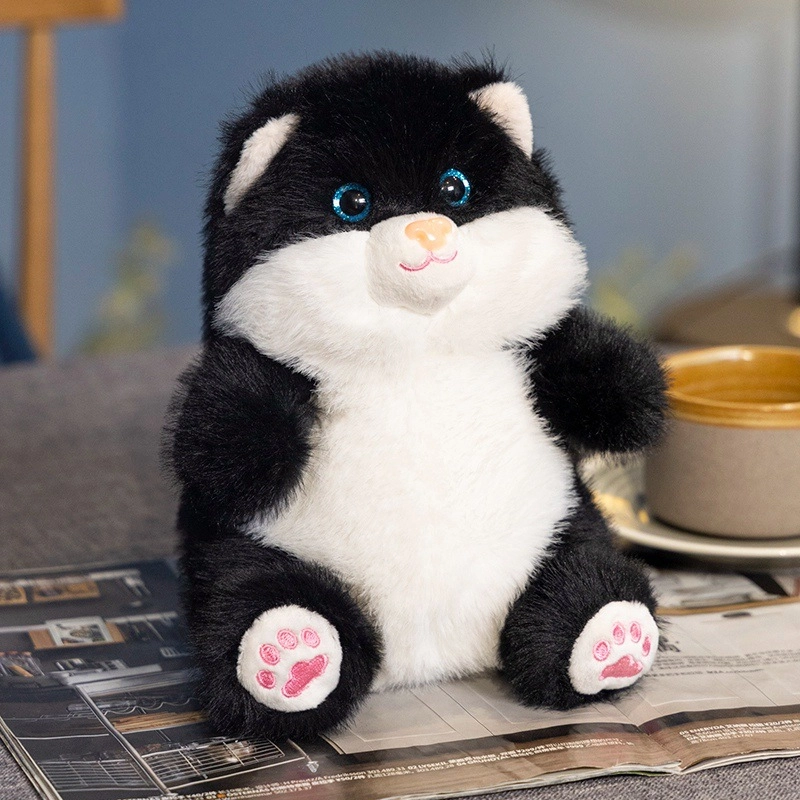Brangdy 20cm