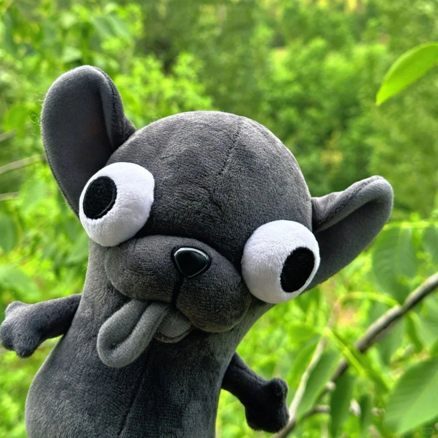 Brangdy 15cm25cm