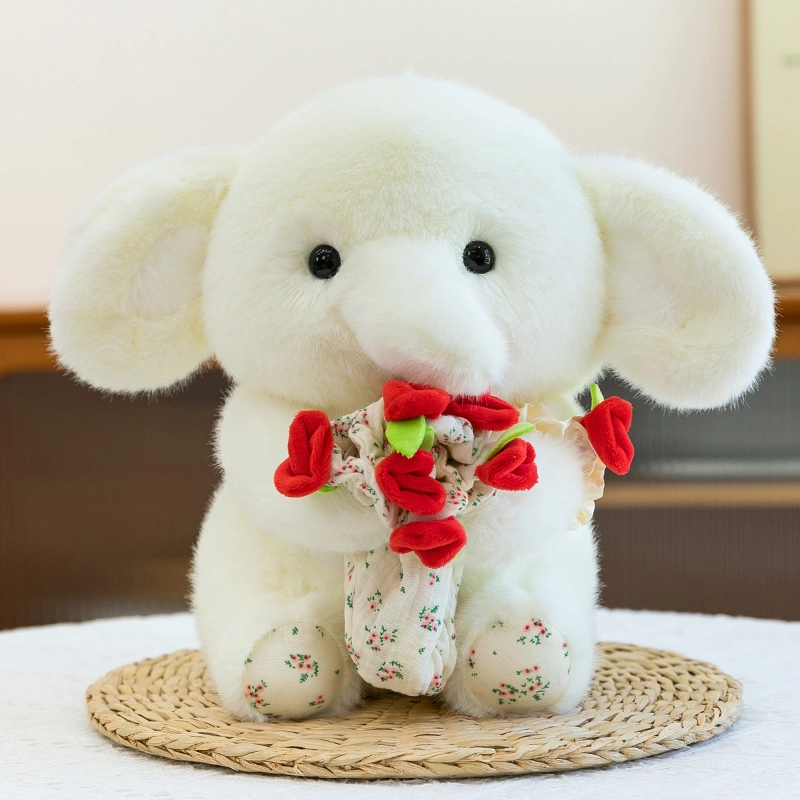 Brangdy 30cm40cm