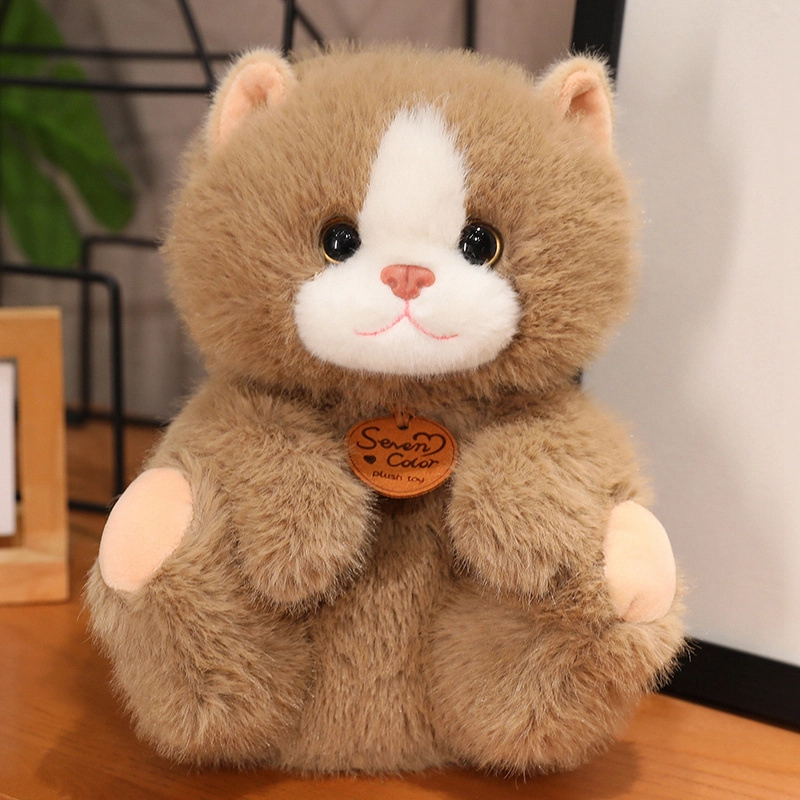 Brangdy 35cm