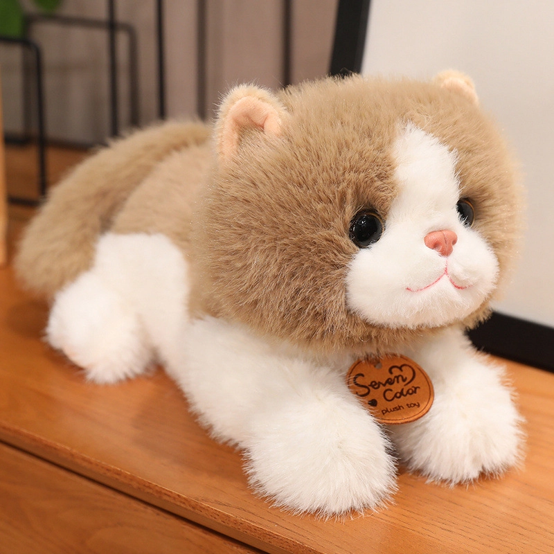 Brangdy 35cm
