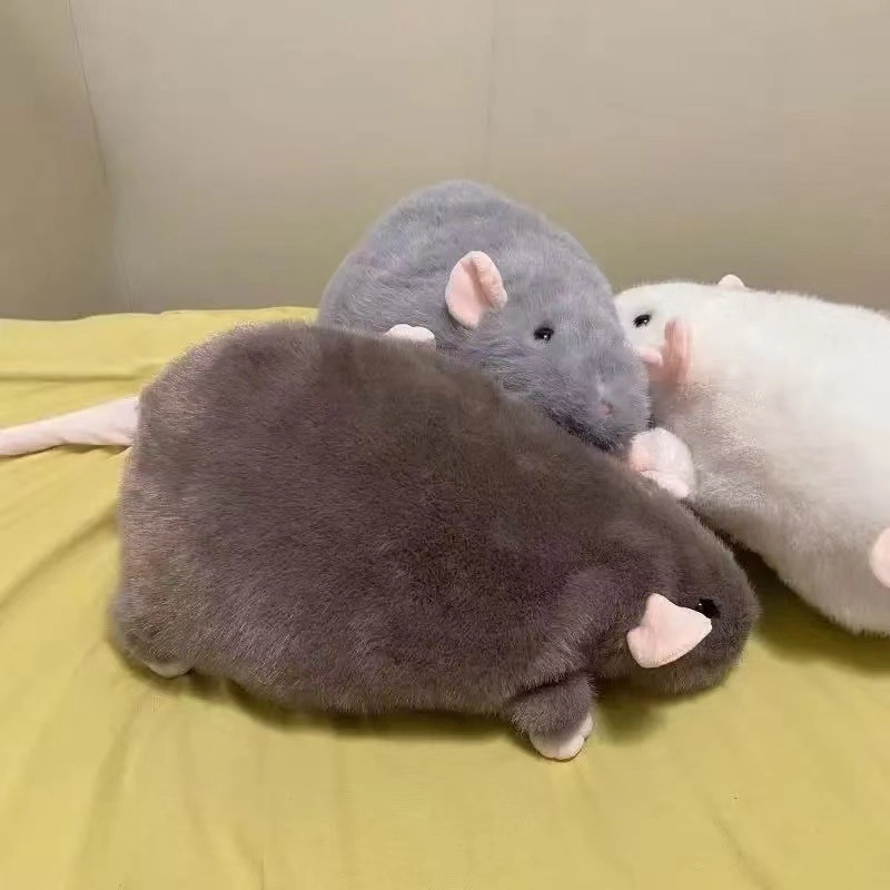 Brangdy 40cm55cm90cm
